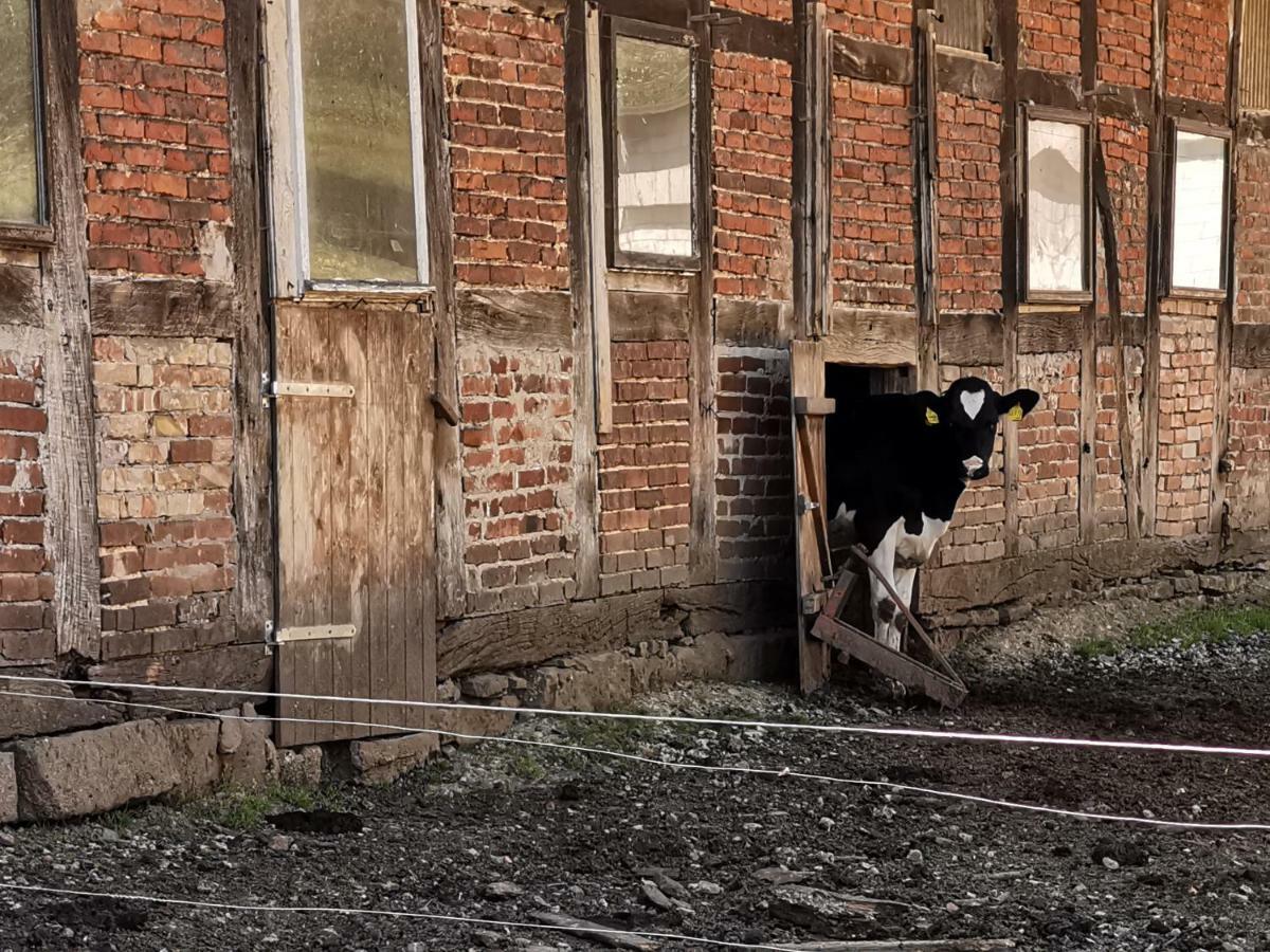 Ferienhof Ehlers Hulsede Экстерьер фото